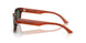 618271 - Tortoise - Dark Green