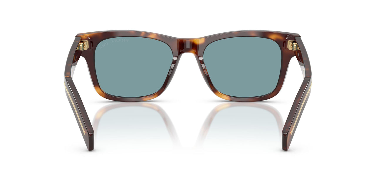 15W04D - Tortoise - Green Polar