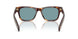 15W04D - Tortoise - Green Polar