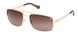 Timberland 00065 Sunglasses