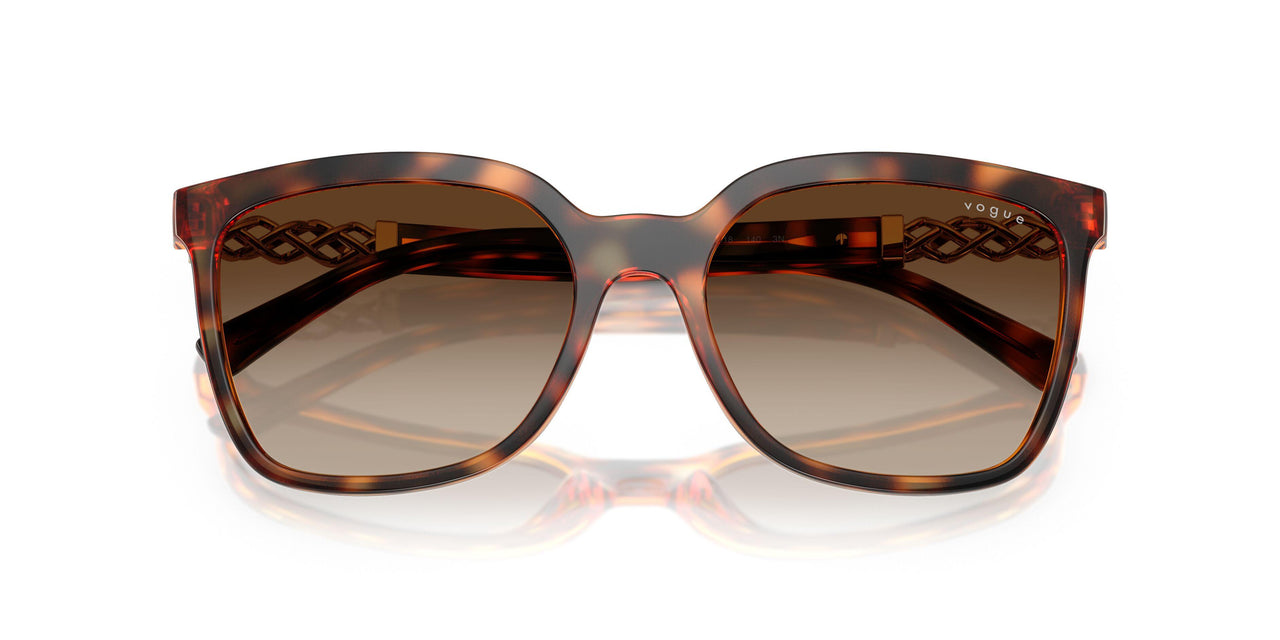 W65613 - Brown - Gradient Brown