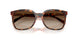 W65613 - Brown - Gradient Brown