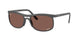 Ray-Ban 4452CH Sunglasses