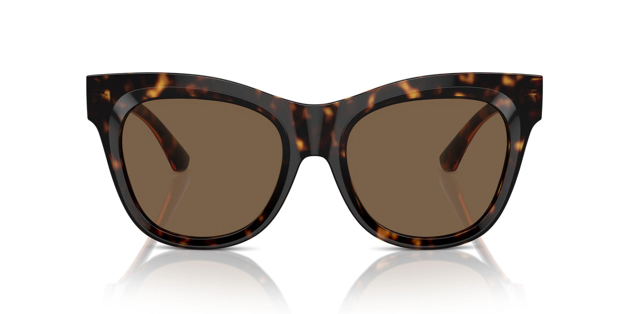 300273 - Brown - Dark Brown