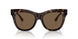 300273 - Brown - Dark Brown