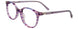 80 - Purple & Blue Stripes