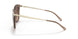 101413 - Brown - Brown Gradient