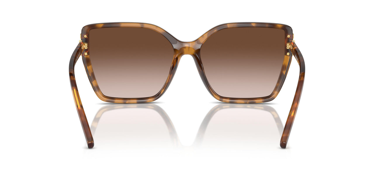 199213 - Tortoise - Light Brown Gradient