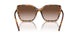 199213 - Tortoise - Light Brown Gradient