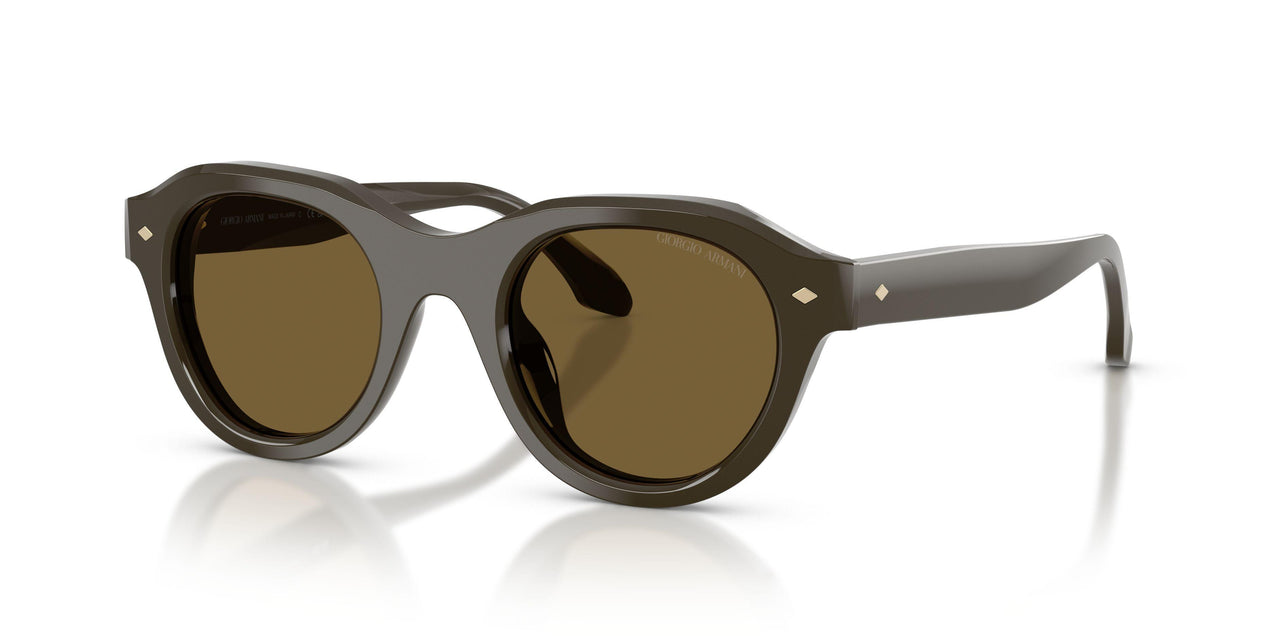 643473 - Green - Dark Brown