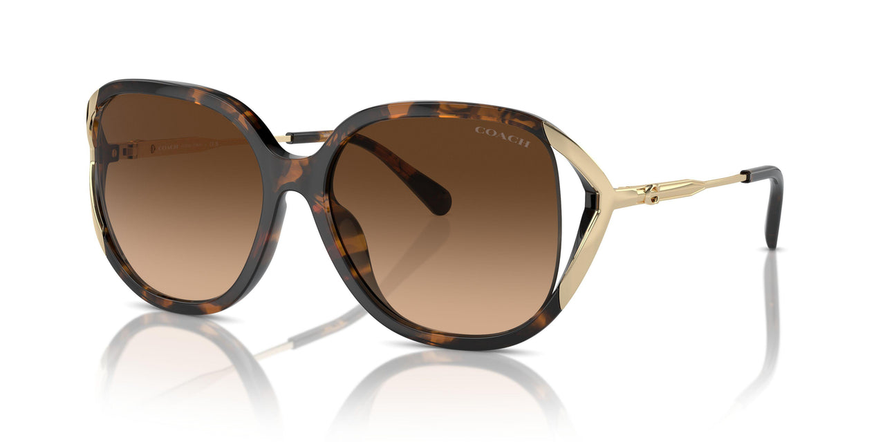 512074 - Tortoise - Brown Gradient