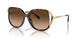 512074 - Tortoise - Brown Gradient