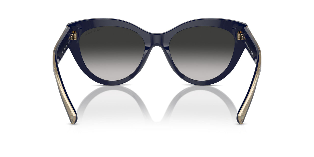 83963C - Blue - Grey Gradient