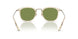 109452 - Brown - Green C