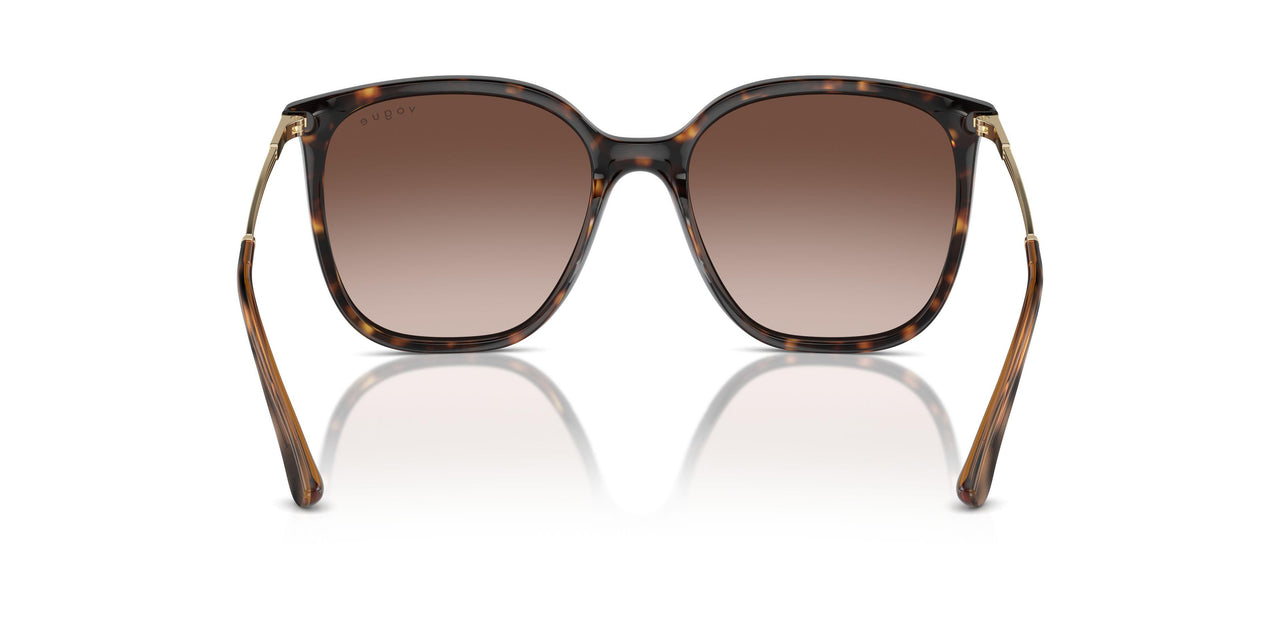 W65613 - Brown - Brown Gradient