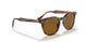 954/33 - Havana - Brown