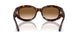 24/51 - Tortoise - Clear Gradient Brown
