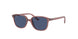 715680 - Pink - Dark Blue