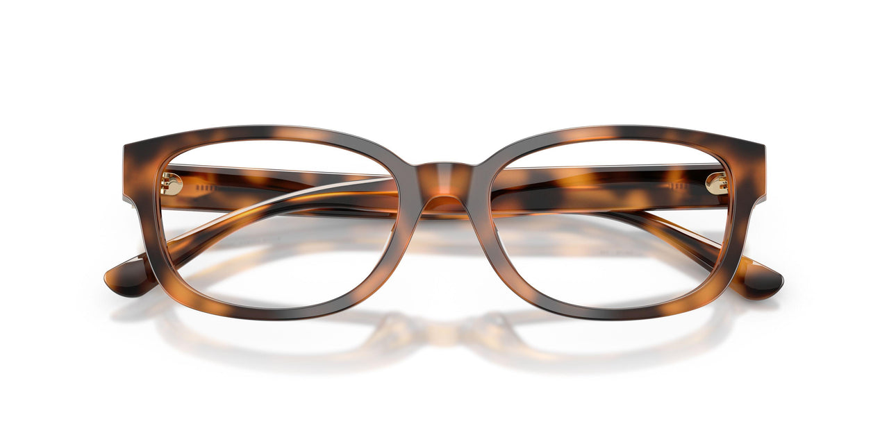 6089 - Tortoise