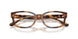 6089 - Tortoise