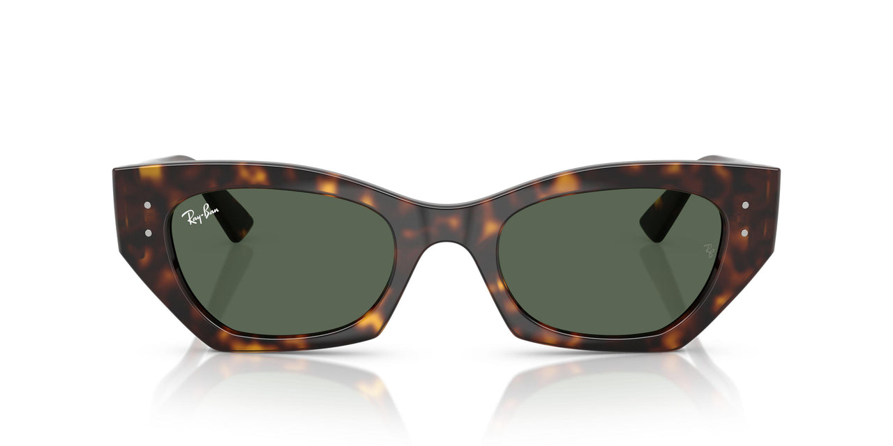 135971 - Tortoise - Dark Green