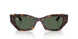 135971 - Tortoise - Dark Green