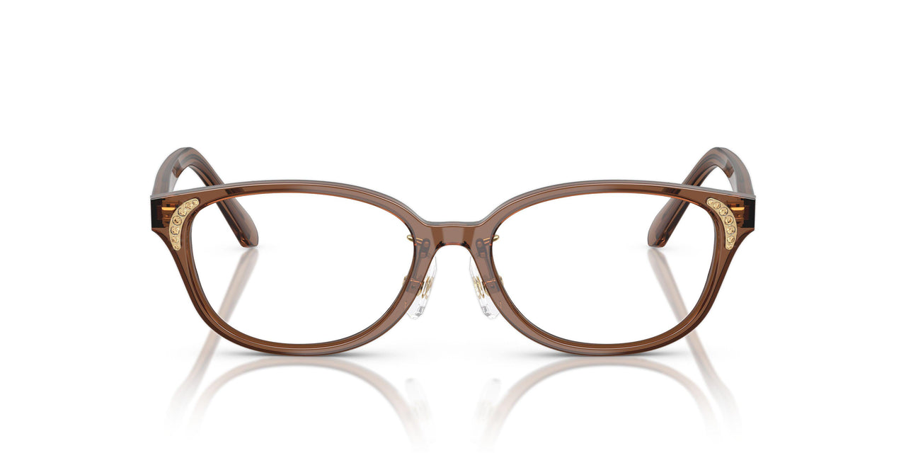 1067 - Brown