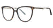 550 - Tortoise