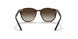 152/13 - Havana - Brown Gradient