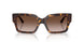 500213 - Tortoise - Brown Gradient