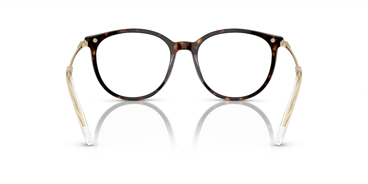1002 - Brown