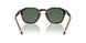 300271 - Havana - Dark Green