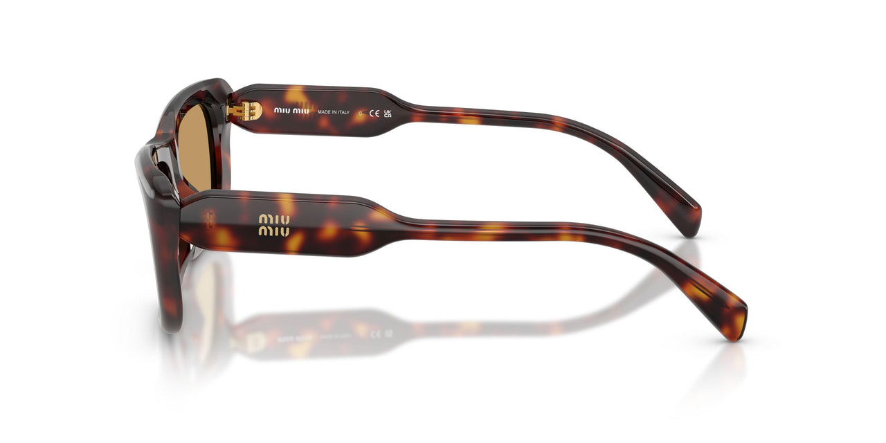 27L10Y - Tortoise - Brown