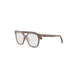 045 - Shiny Brown - DEMO