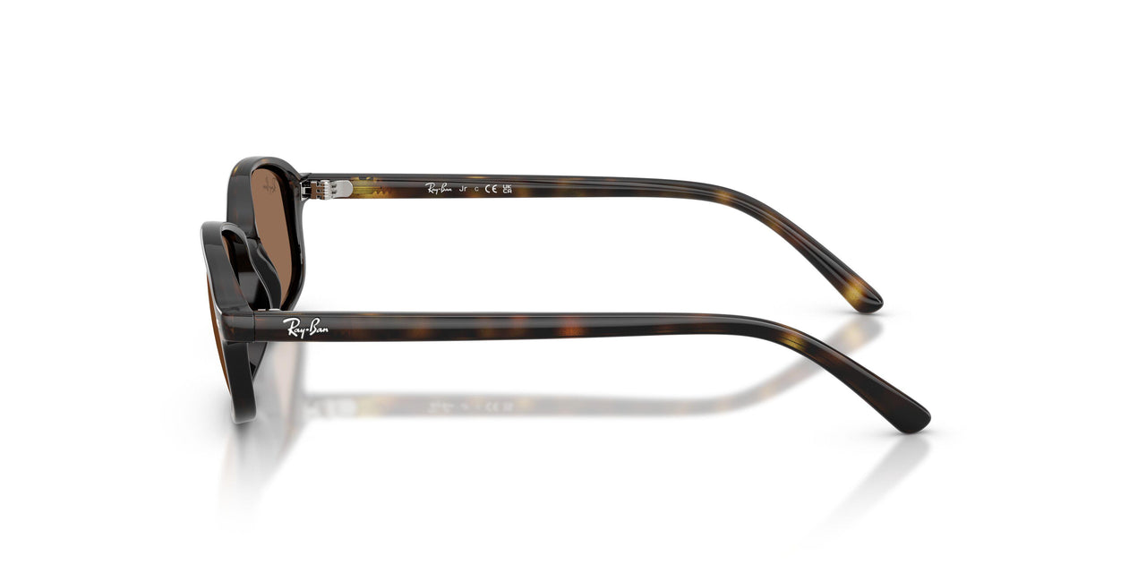 152/73 - Tortoise - Dark Brown
