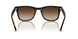 710/13 - Tortoise - Brown