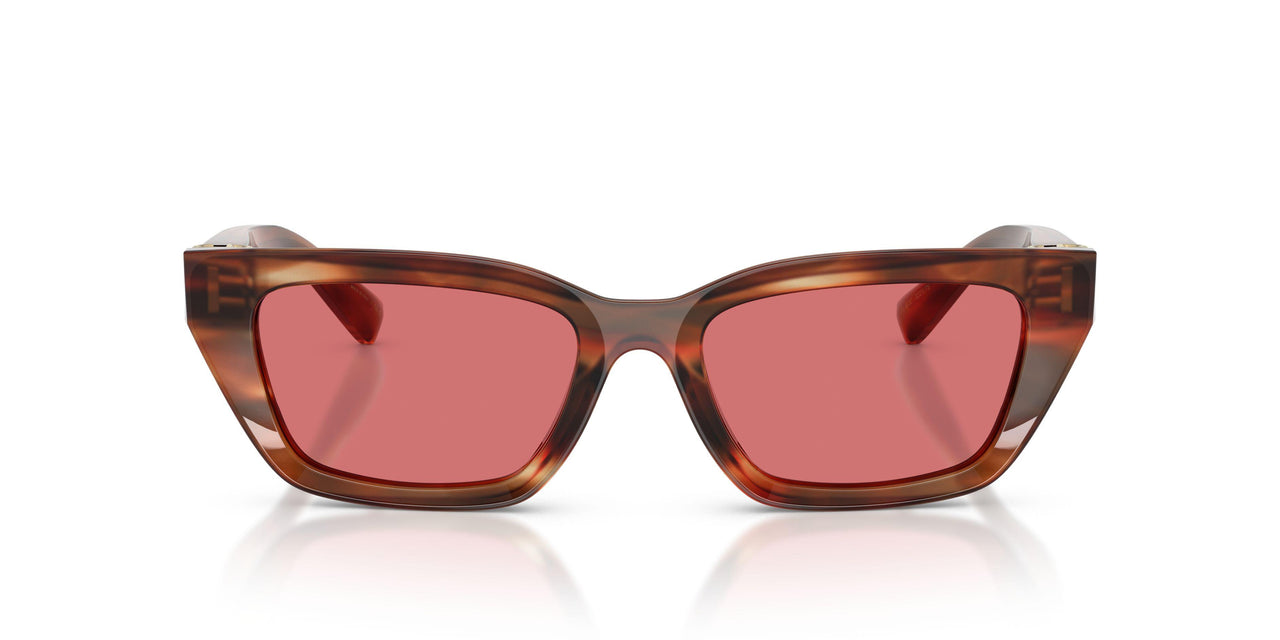 322175 - Tortoise - Red