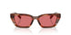 322175 - Tortoise - Red