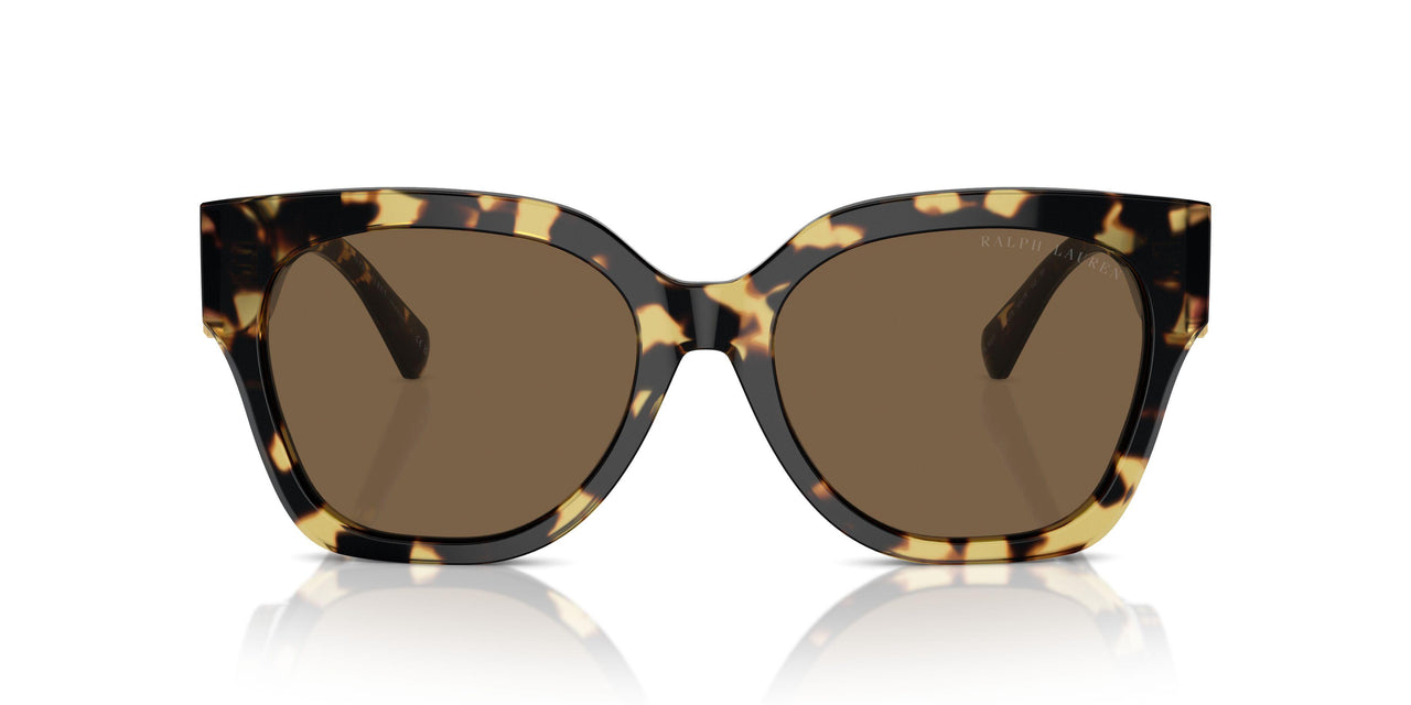 500473 - Brown - Brown