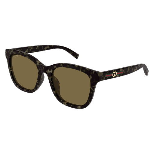 003 - Havana - Brown