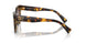 VAU6S1 - Tortoise - Brown Gradient