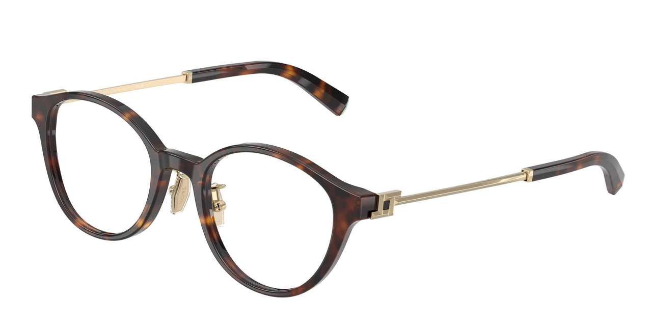 8015 - Tortoise