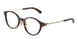 8015 - Tortoise