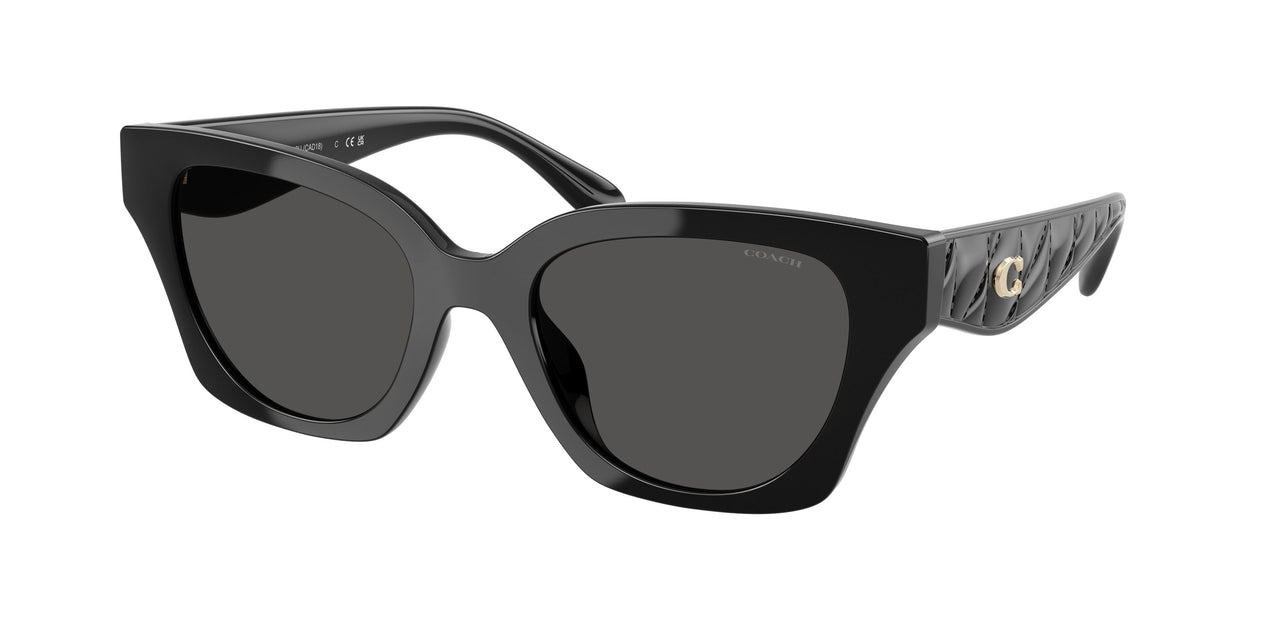 Coach Cad18 8418U Sunglasses