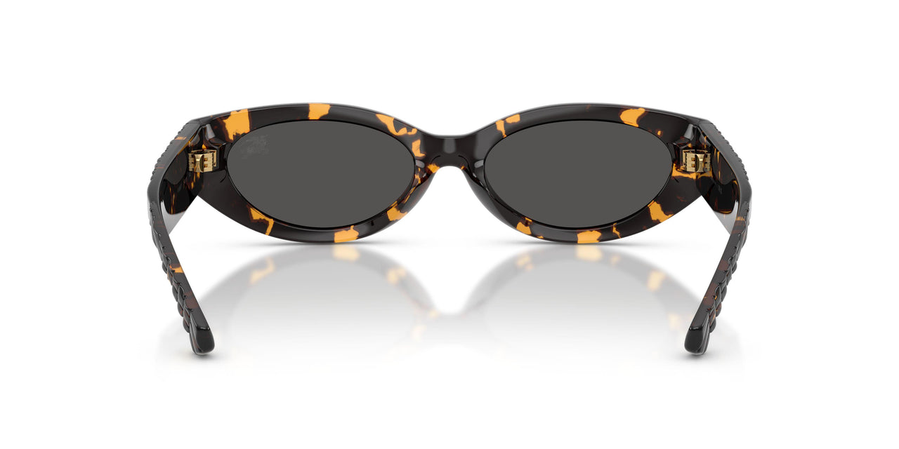 410687 - Tortoise - Dark Grey