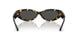 410687 - Tortoise - Dark Grey