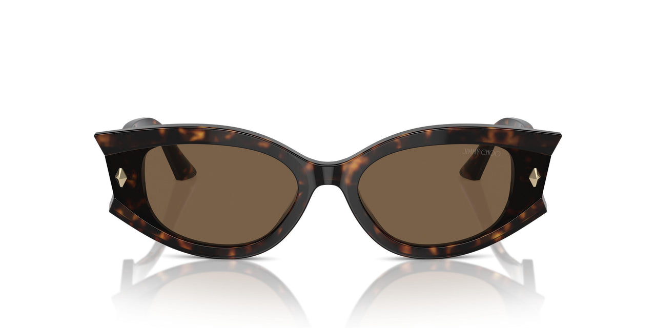 500273 - Tortoise - Dark Brown