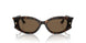 500273 - Tortoise - Dark Brown