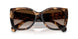 84213B - Brown - Brown Gradient