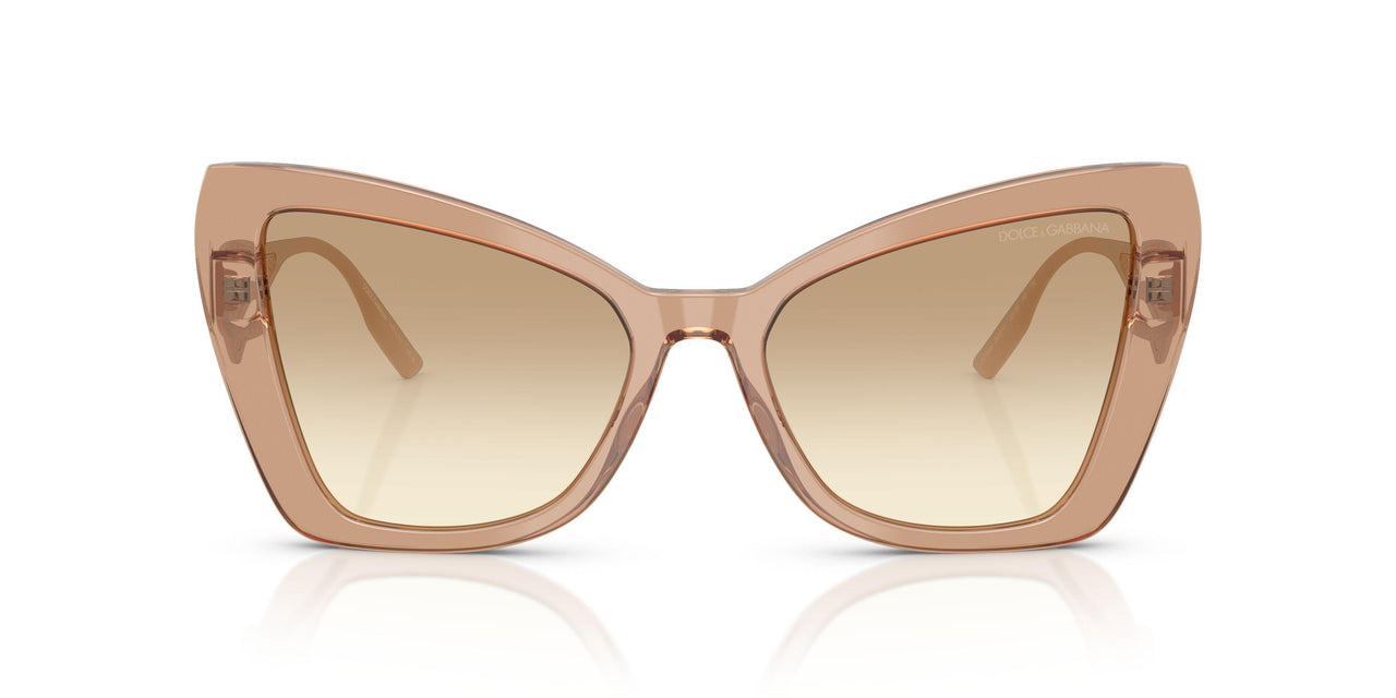 343213 - Brown - Clear Gradient Light Brown